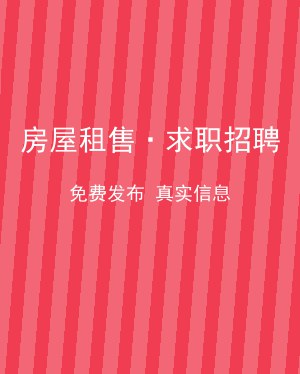 大湾区信息港